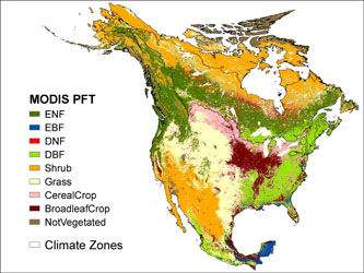 North American Carbon Budget